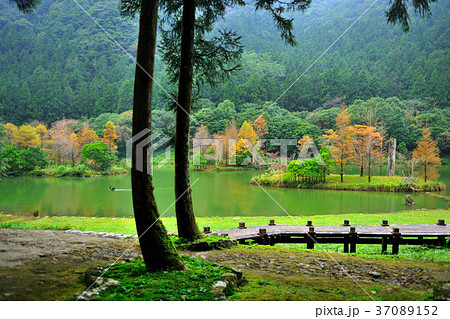 橋 ブリッジ 橋梁 37089152