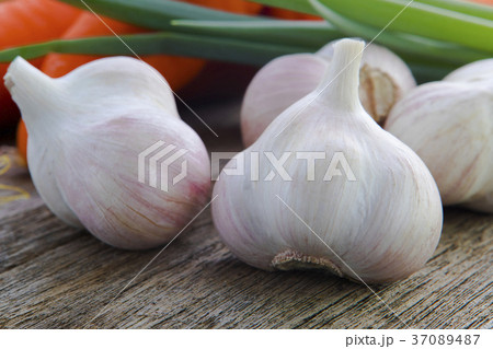 ニンニク にんにく ガーリック 37089487