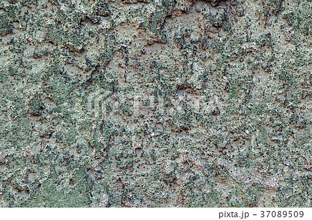 Weathered wall texture 37089509