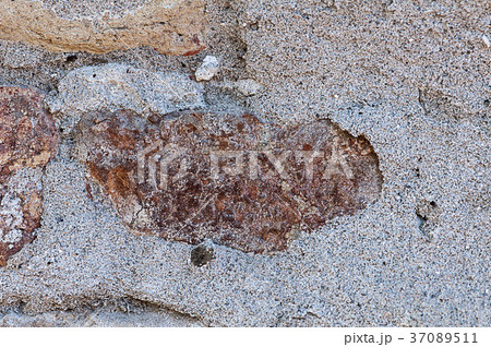 Weathered wall texture 37089511