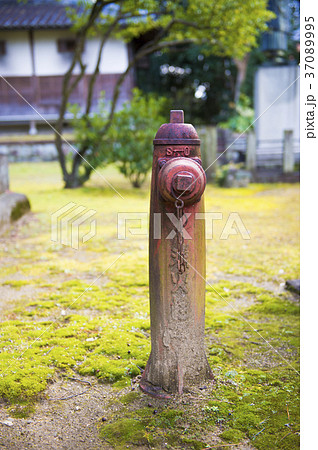 レトロな屋外消火栓 レトロな屋外消火栓 37089995