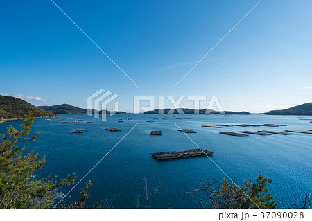 瀬戸内海の養殖牡蠣筏のある風景 37090028