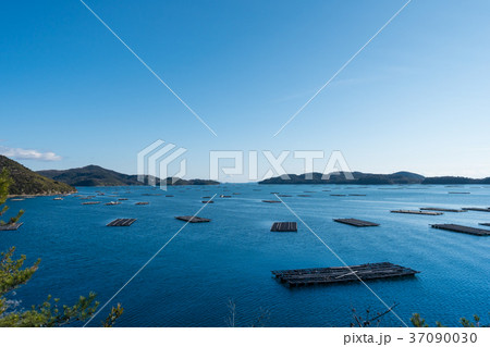 瀬戸内海の養殖牡蠣筏のある風景 瀬戸内海の養殖牡蠣筏のある風景 37090030