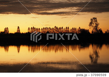 Morning scenery with clouds and sky reflecting. Morning scenery with clouds and sky reflecting. 37090509