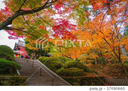 京都 今熊野観音寺の紅葉の写真素材