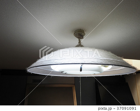 ホコリが積もった蛍光灯のカバー 37091091