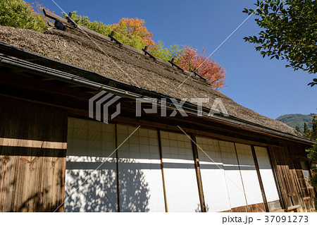 秋の茅葺屋根 37091273