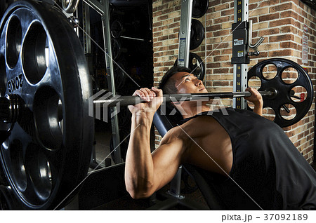 ベストボディ ベストボディ 37092189