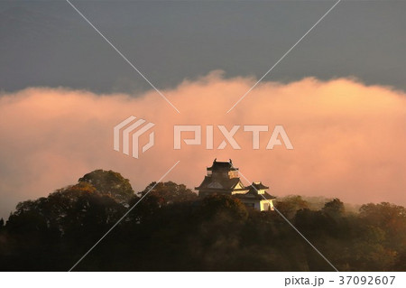 越前大野城 37092607