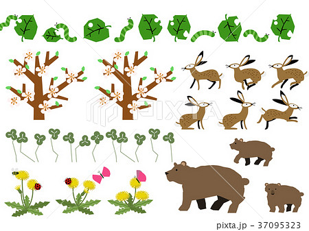 春のイメージイラスト。春の動植物。カレンダー用。 春のイメージイラスト。春の動植物。カレンダー用。 37095323