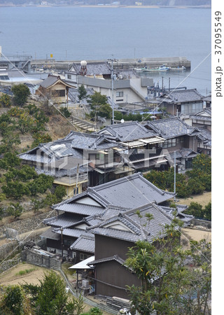 【広島県 呉市】鹿島の集落とみかん畑 【広島県 呉市】鹿島の集落とみかん畑 37095549
