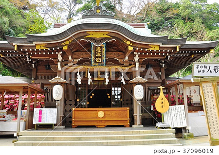 江の島 江島神社辺津宮 江の島 江島神社辺津宮 37096019