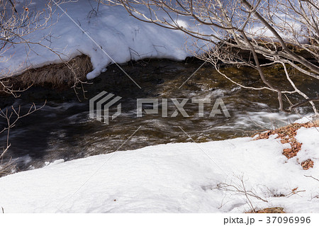 栃木県日光市　竜頭ノ滝（3月） 37096996