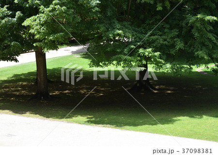 ハイデルベルク城 37098381