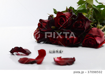 Valentine's Day Concept, Red rose on background. 37098502