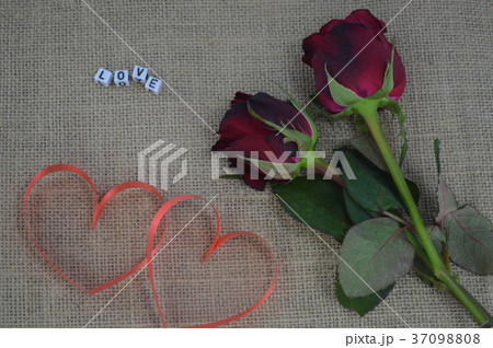 send a letter and red roses is A love confession 37098808