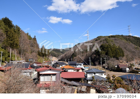 長野県上伊那郡辰野町　福寿草の里と日本一古い道祖神の沢底地区 37099034
