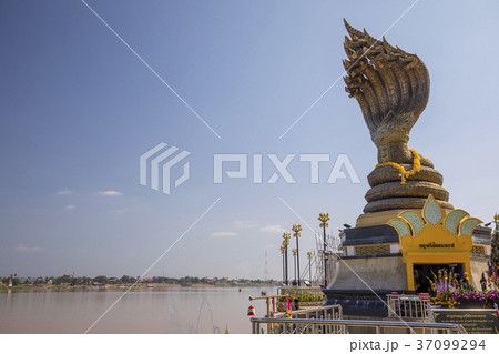 ナコンパノムのナーガ像 37099294