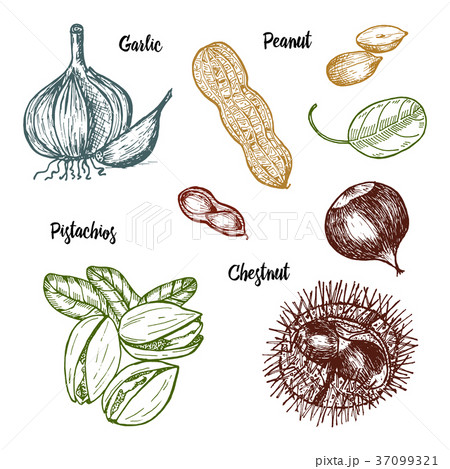 Herbs, condiments and spices. pistachios and 37099321