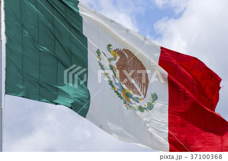 メキシコ国旗 37100368
