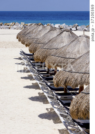 メキシコ　イスラ・ムヘーレス 37100369