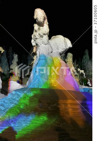 蔵王夜景スノーモンスター１ 37100605