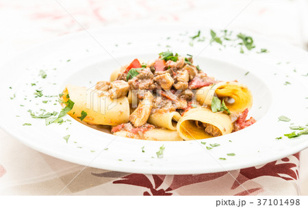 Italian Paccheri pasta  with Swordfish 37101498