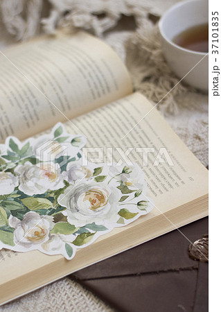 Garden roses flower painted with watercolor 37101835