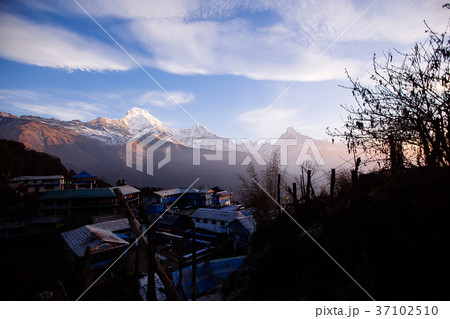 Sunrise in Annapurna area mountains in the Himalay Sunrise in Annapurna area mountains in the Himalay 37102510