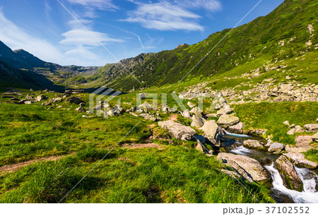stream among the rocks in grassy valley stream among the rocks in grassy valley 37102552