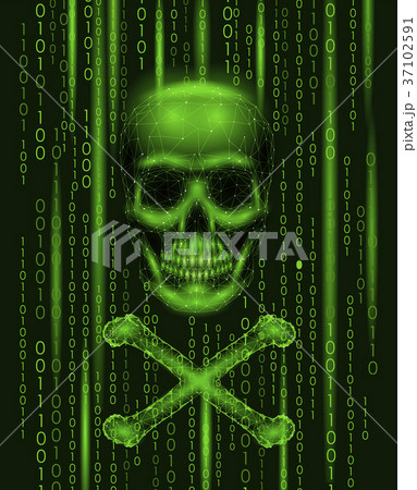 Jolly roger skull binary code numbers. Hacker Jolly roger skull binary code numbers. Hacker 37102591