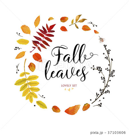 Vector floral watercolor card design Autumn leaves Vector floral watercolor card design Autumn leaves 37103606