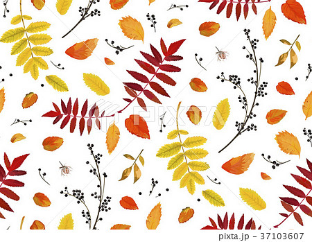 Vector Seamless patten background Autumn leaves 37103607