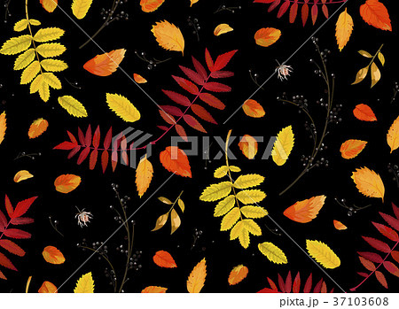 Vector Seamless patten background Autumn fall leaf 37103608