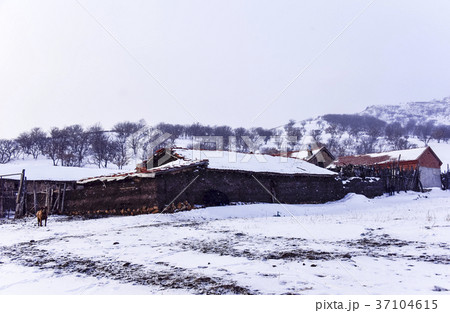 風景 パサン草原 モンゴル 37104615