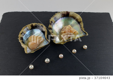 Delicacy Pearl shell scallops and pearls - Stock Photo [37104643 