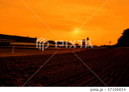 夕景と競馬場 夕景と競馬場 37106654
