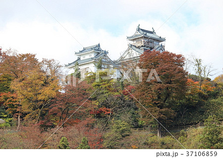 越前大野城 37106859