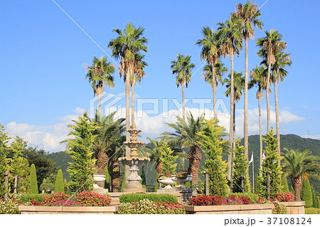 リゾートホテル玄関前 リゾートホテル玄関前 37108124