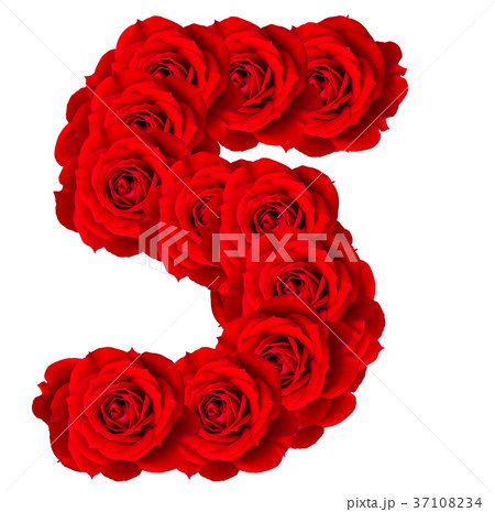 Red Roses numbers 5 made from bloom red rose 37108234