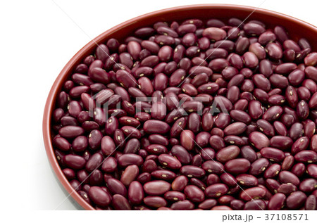 金時豆 金時豆 37108571