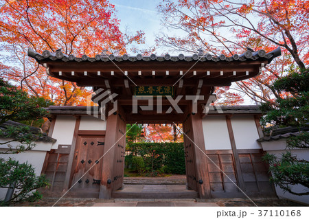 京都 源光庵の紅葉 京都 源光庵の紅葉 37110168