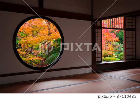 京都 源光庵の紅葉 悟りの窓と迷いの窓 京都 源光庵の紅葉 悟りの窓と迷いの窓 37110435