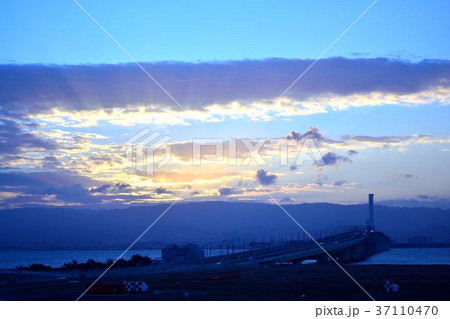 初日の出 37110470