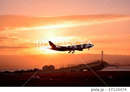関空初日の出 関空初日の出 37110474