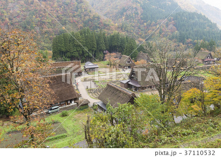 晩秋の菅沼合掌造り集落の家並み 37110532