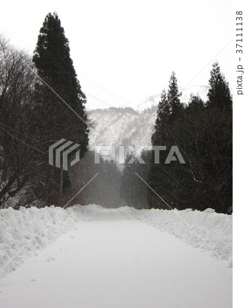 吹雪きの雪道 37111138
