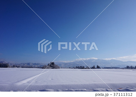 秋田県 仙北市 冬 雪景色 青空 秋田県 仙北市 冬 雪景色 青空 37111312