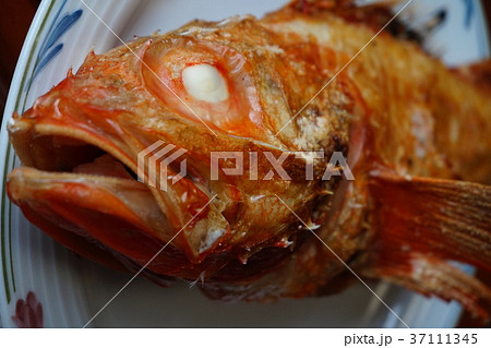 キンキン　吉次　焼き魚 37111345
