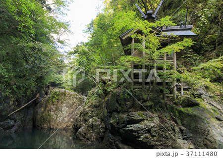 元伊勢 天岩戸神社 元伊勢 天岩戸神社 37111480